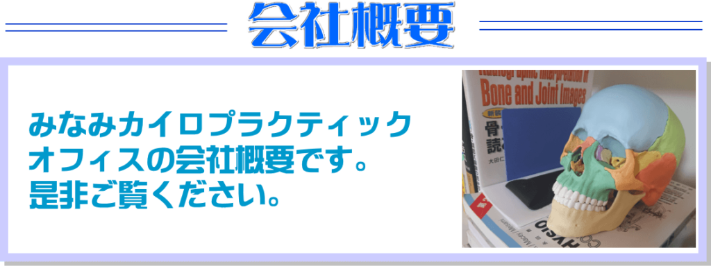 みなみカイロプラクティックオフィス 会社概要